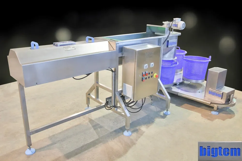 cr=t_0%,l_0%,w_100%,h_100%