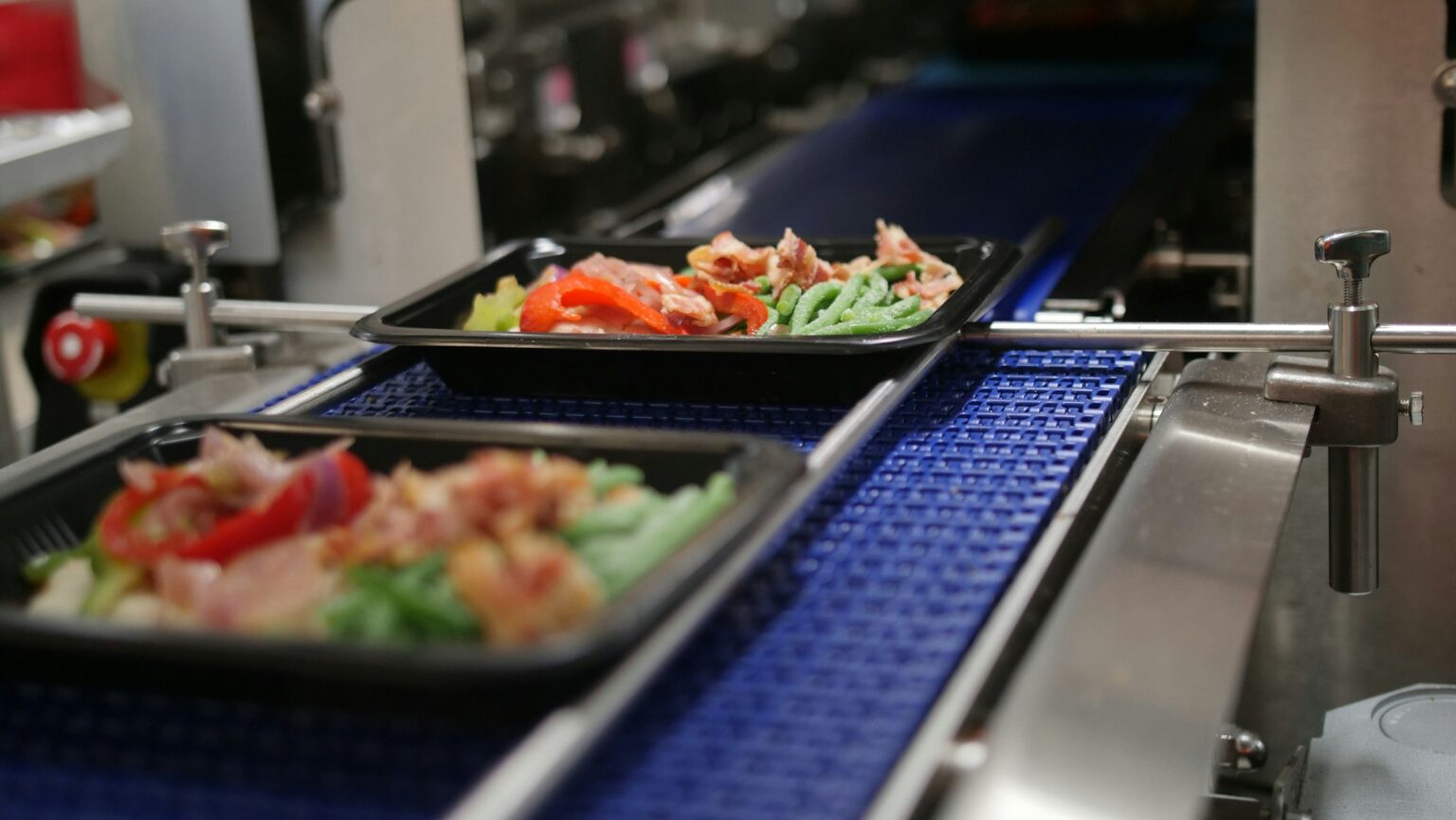 VegTech Systems | Food Processing & Packaging Equipment